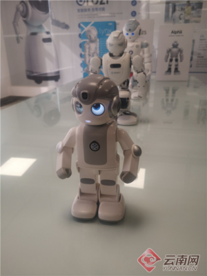 昆明智能机器人产业园年内破土动工，云计算装备技术服务引领产业升级